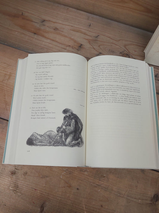 2 Bøger Danske viser