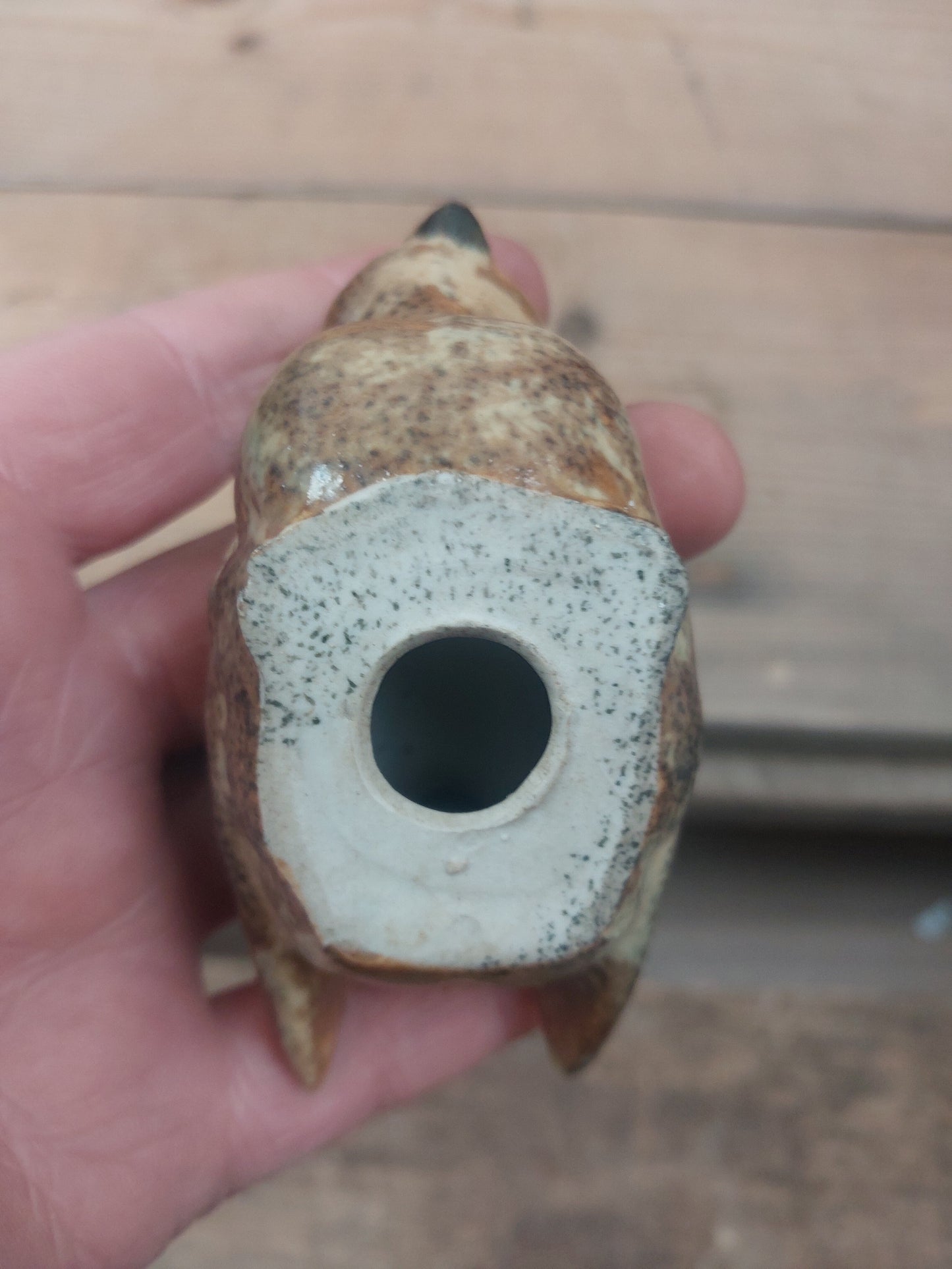 Fugl