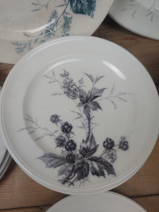 26 dele Villeroy & Boch. Tidsel/milla.