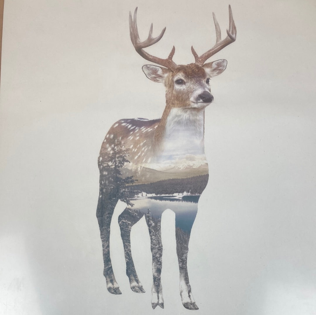 Faunascapes Deer plakat