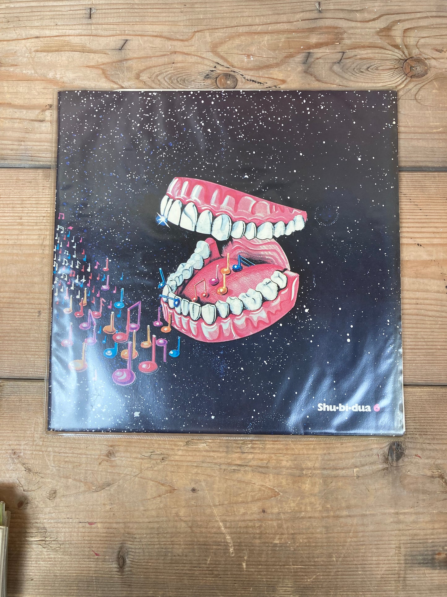 Lp - Shubidua 6