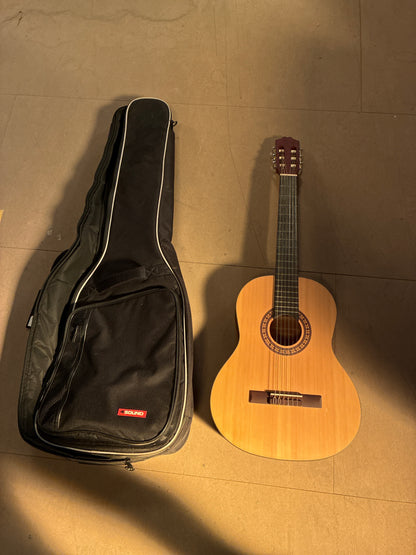 Guitar med taske