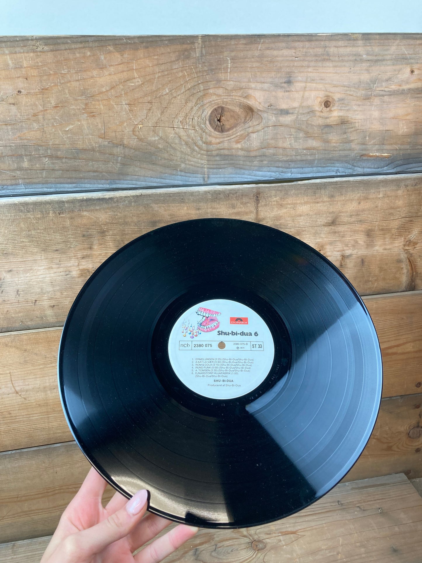 Lp - Shubidua 6