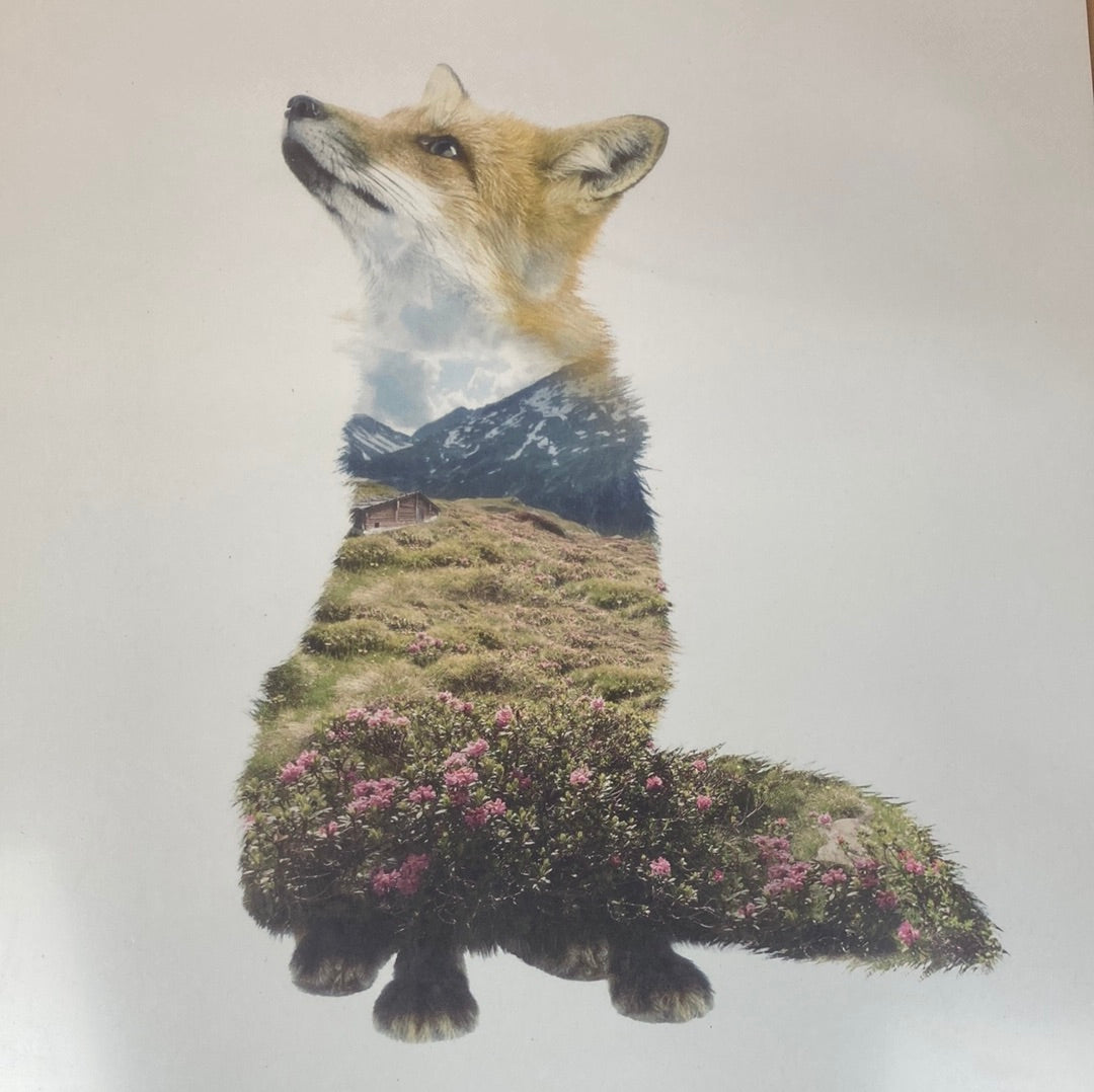 Faunascapes Fox plakat