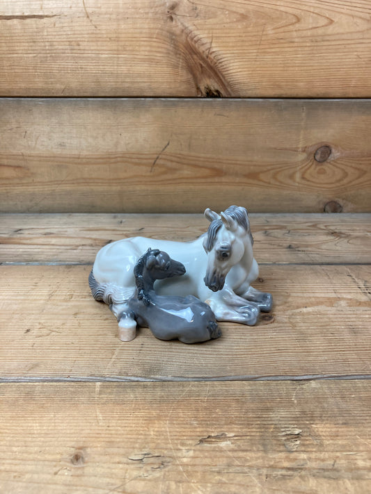 Royal Copenhagen hoppe med føl