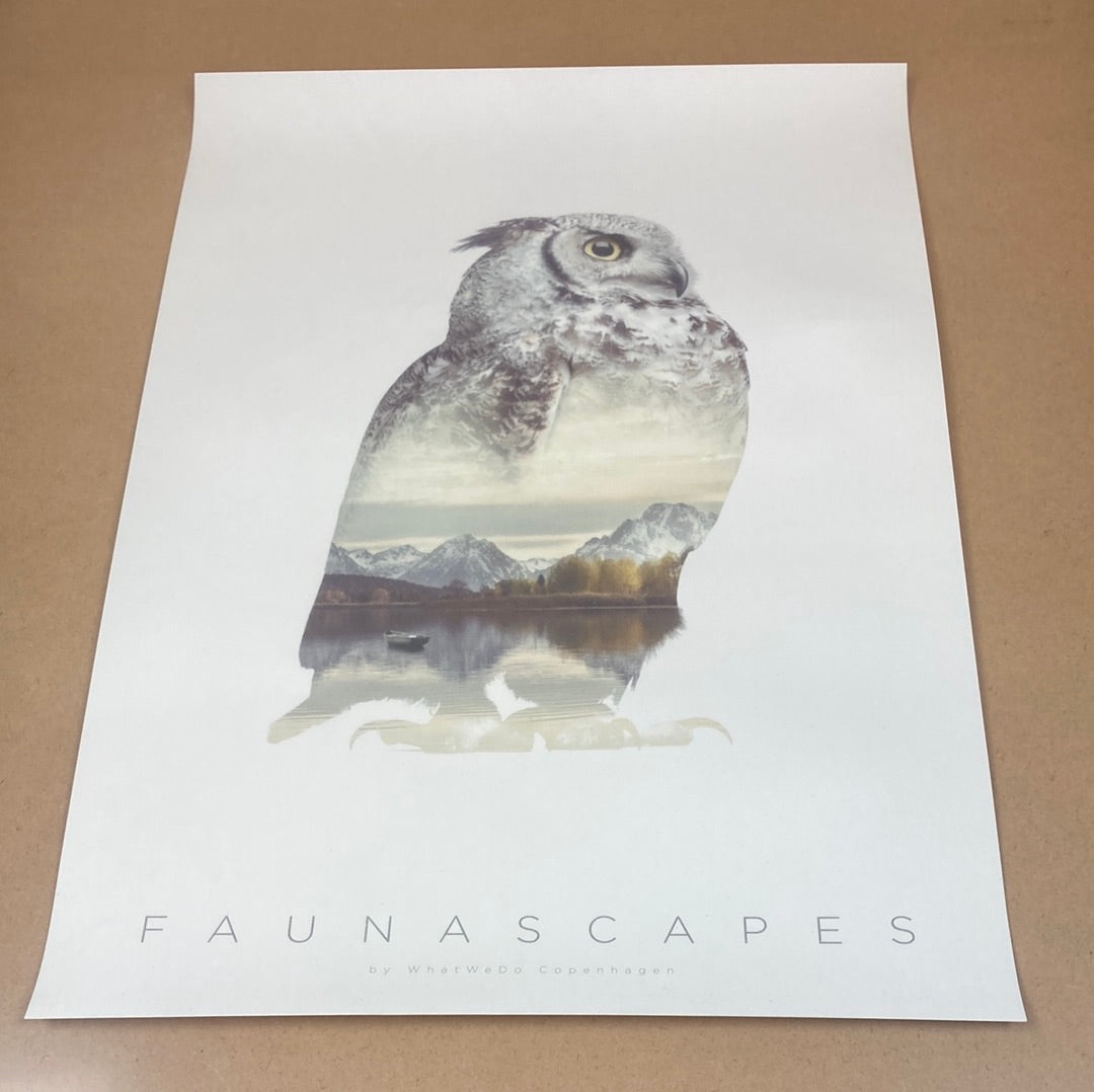 Faunascapes Owl plakat