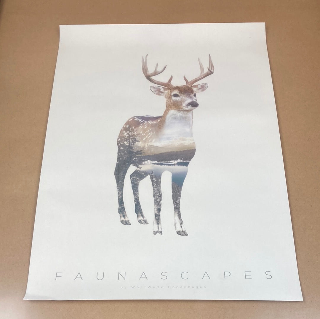 Faunascapes Deer plakat