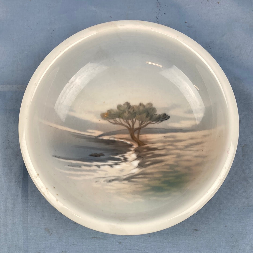 Royal Copenhagen skål