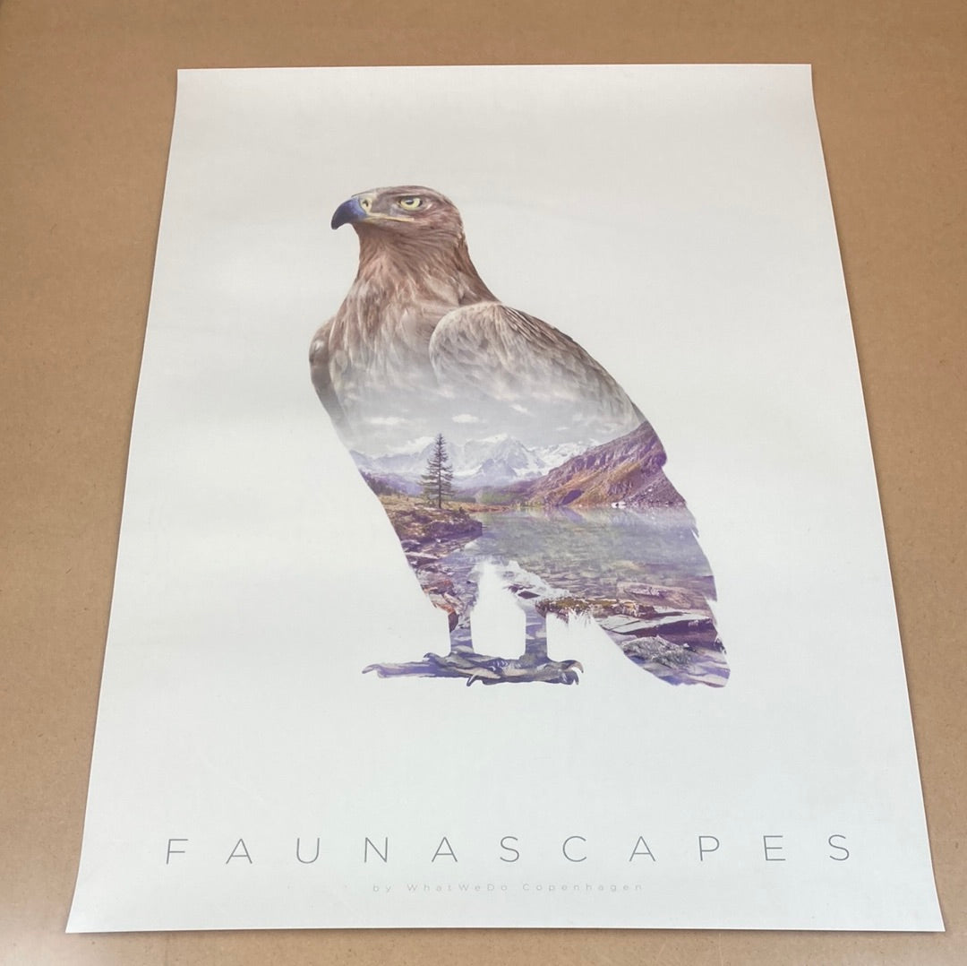 Faunascapes Brown Eagle plakat