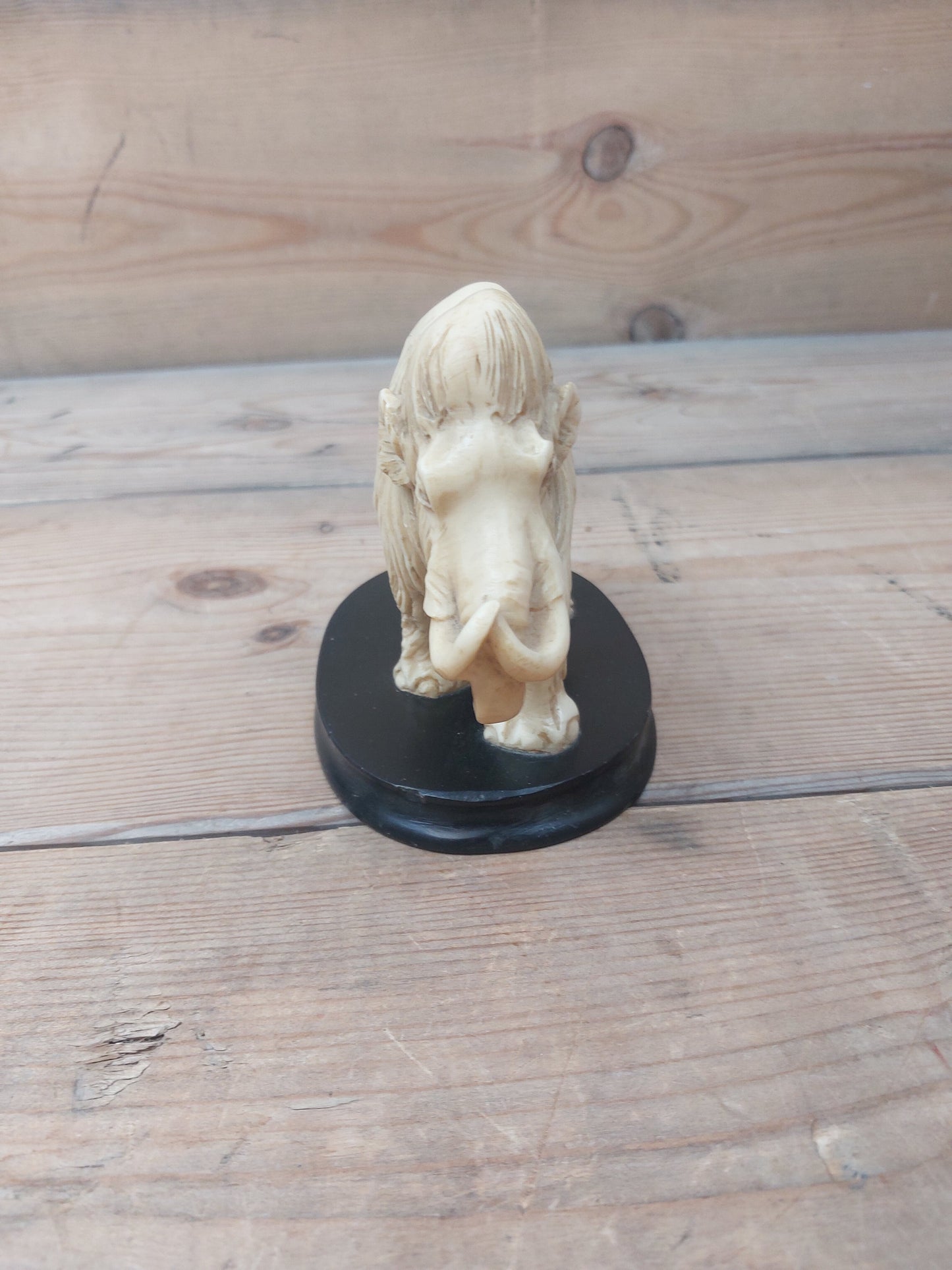 Mammut