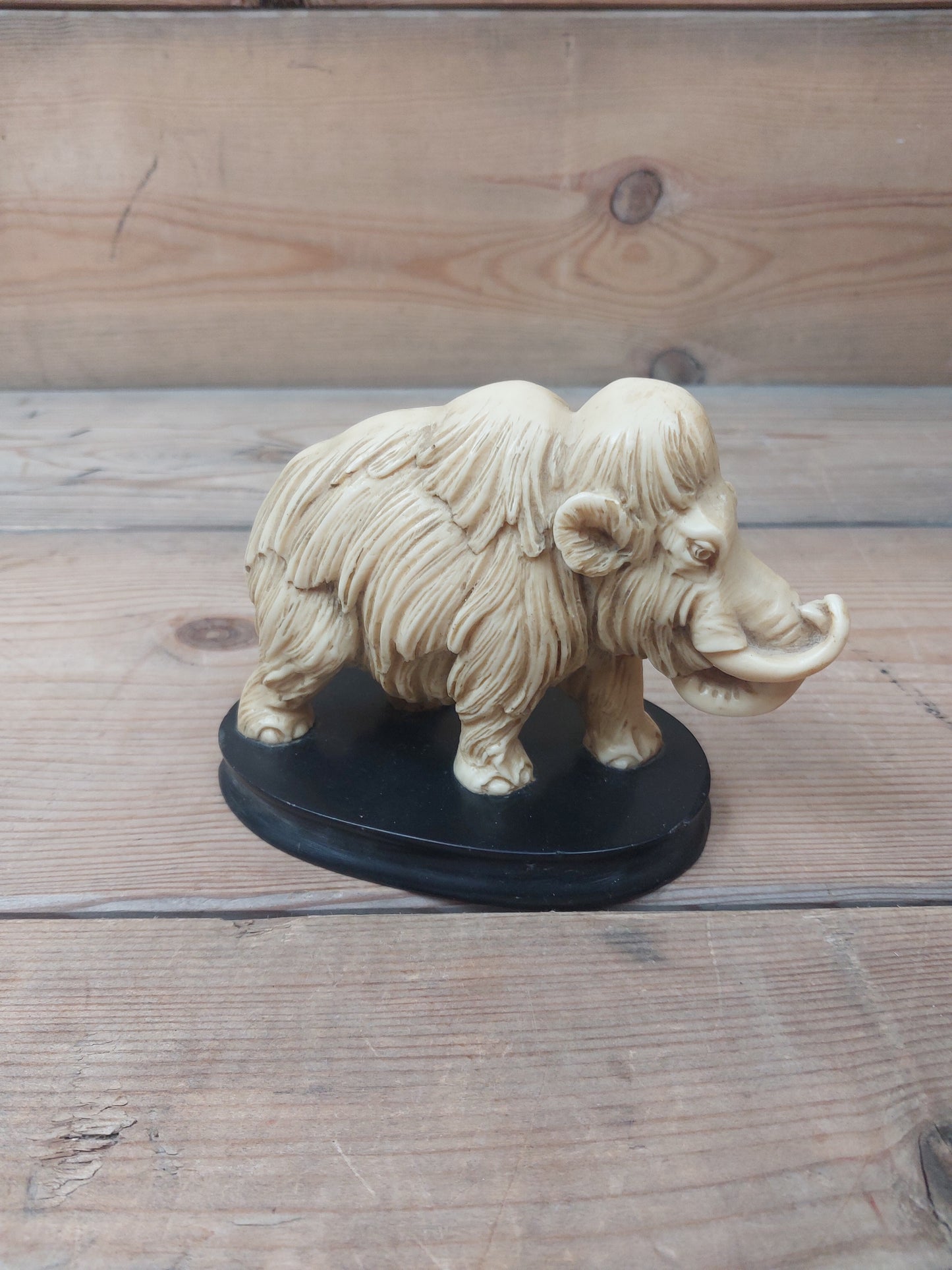 Mammut